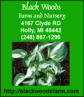 Blackwoods Farm and Nursery